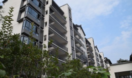 深居其中,探寻深居其中的奥秘与魅力