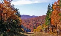 卡茨基尔公园,自然奇观与户外探险之旅