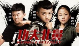 功夫北鼻,萌娃奇遇记，传承中华武术魂