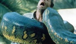 巨蟒1,奇幻冒险之旅的序幕拉开