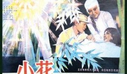 小花 1979,小花的故事与时代印记