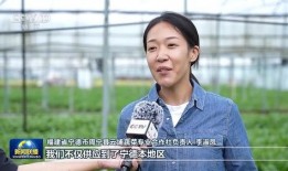 穿成萌宝靠山吃山富全家,山间宝藏，富全家幸福路