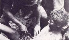 肢解屠场,揭秘肉类加工背后的残酷现实