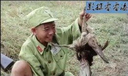 三毛从军记,荒岛奇遇与成长之旅