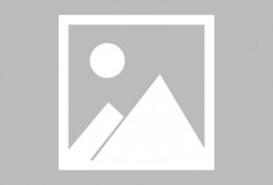 嗜血大厨的自白,揭秘烹饪背后的血腥秘密