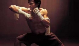 动作巨星,巅峰时刻的传奇身影